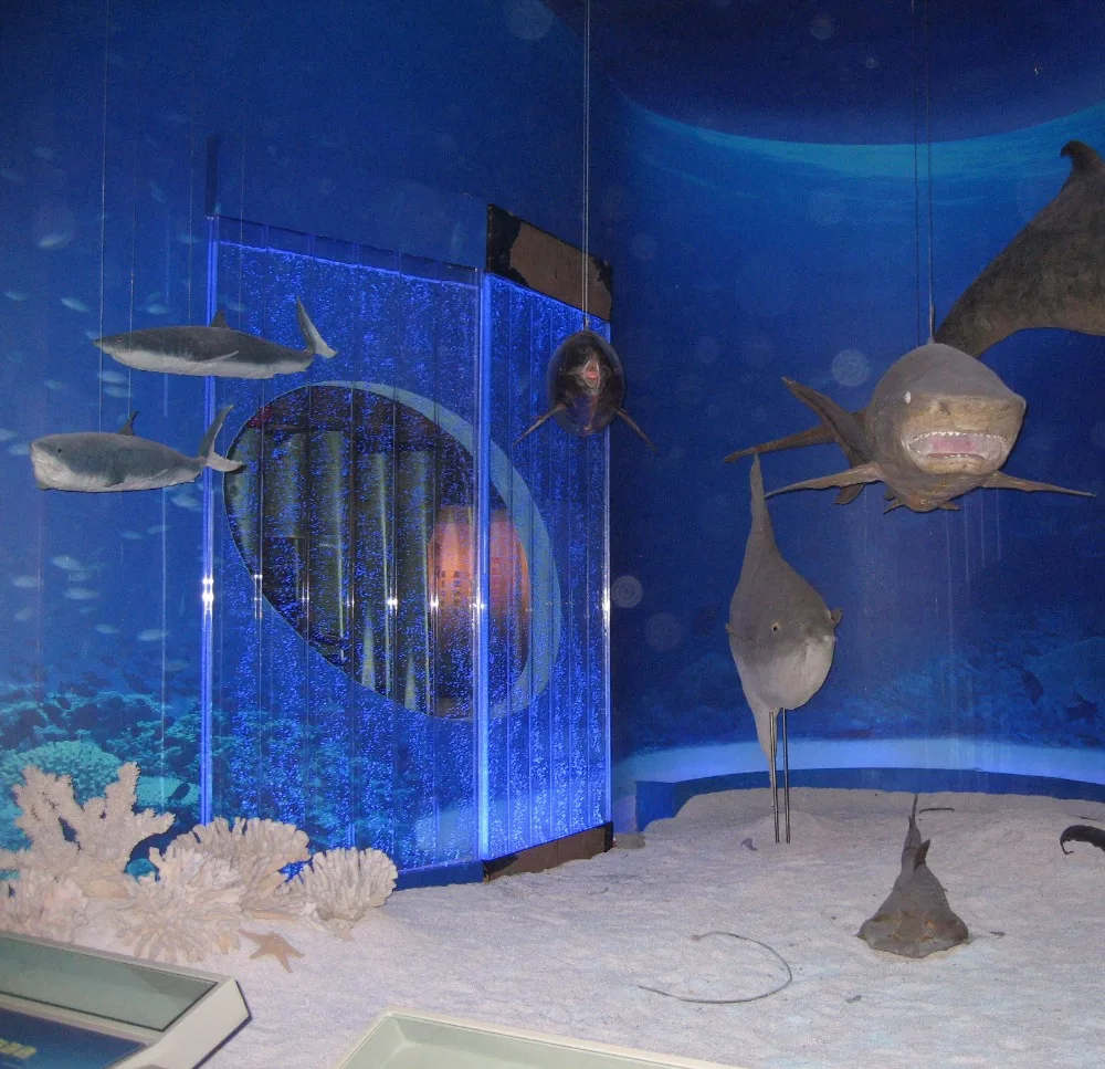 Custom Museum Partition Screen Acrylic Blister Wall