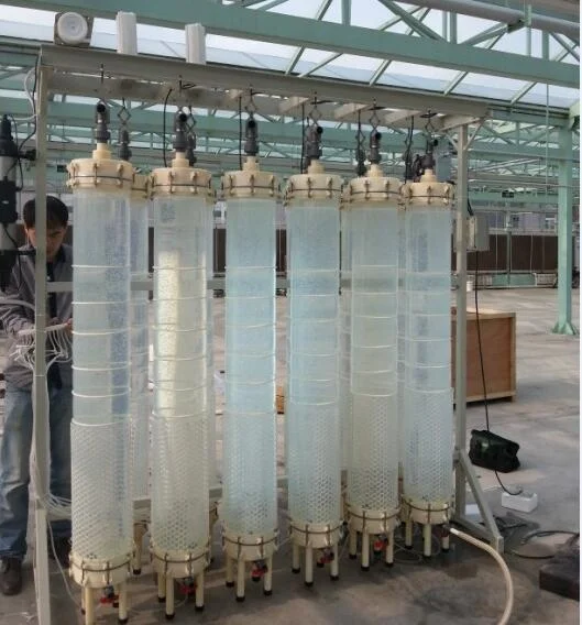 
Фотобиореактор, фотобиореактор водорослей, выращивание водорослей 