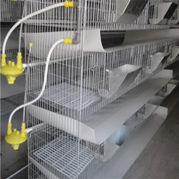 New Rabbit cages / rabbit farming equipment