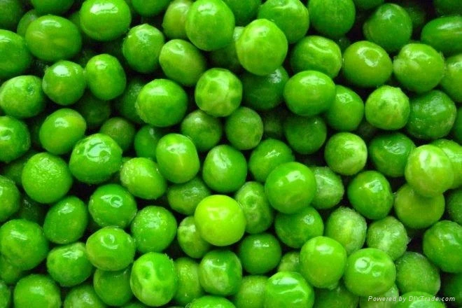 IQF Frozen Vegetable G1002 IQF Green Peas with Good Price