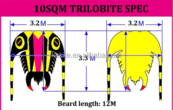 10 SQM trilobite pilot kite from the kite factory