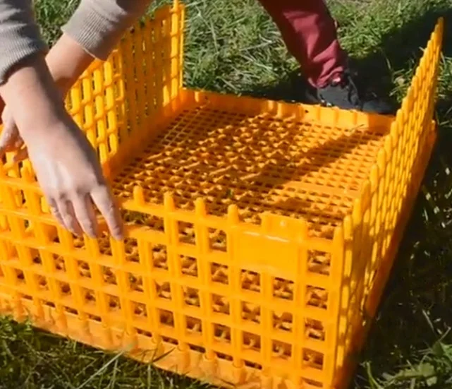 Poultry transportation cage for chickens/ducks/quail crate for sale
