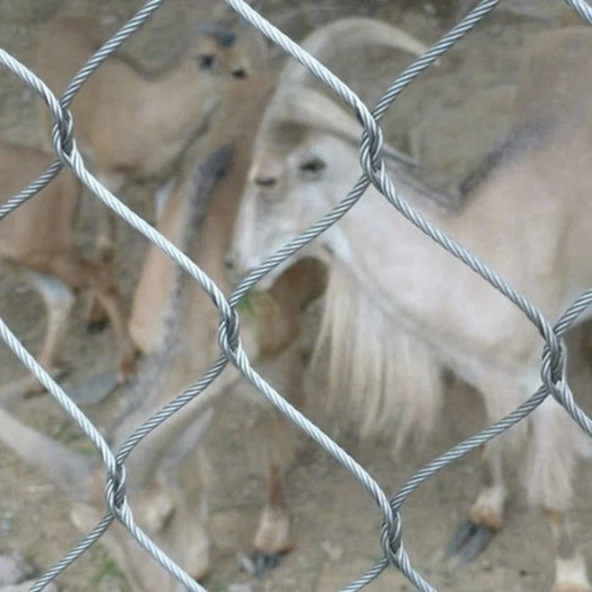 
Zoo Netting Mesh Fence/ Zoo Animal Enclosure 