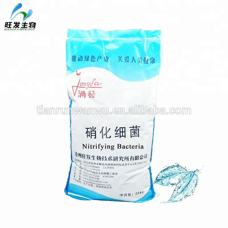 
Nitrifying bacteria for aquatic 