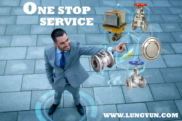 
High pressure instrumentation needle valves 