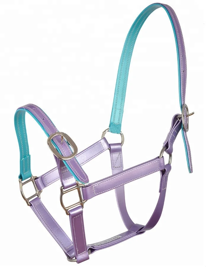Arabian Colorful PVC Horse Halter for Horse Racing  Horse Equipment Equestrian Nylon Halter With Soft Padding