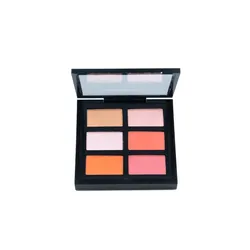 Hot selling makeup powder waterproof face compact 6 colors blush palette private label