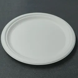 platos descartables disposable compartment Bagasse plate assiettes pour restaurant jetable
