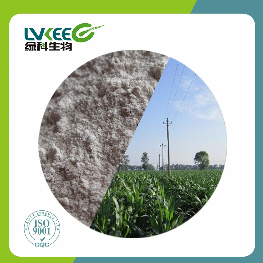 Lvkee 20BL Fertilizer powder Bacillus Cereus probiotics Fermentation