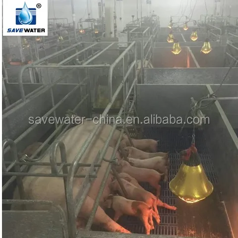 175W, 100W- 375W Energy Efficient electric Infrared Heating Lamp for pig poultry livestock farm heaters