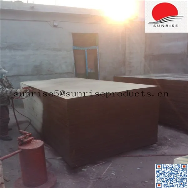 SUNPLY film faced plywood 1220 x 2440 mm