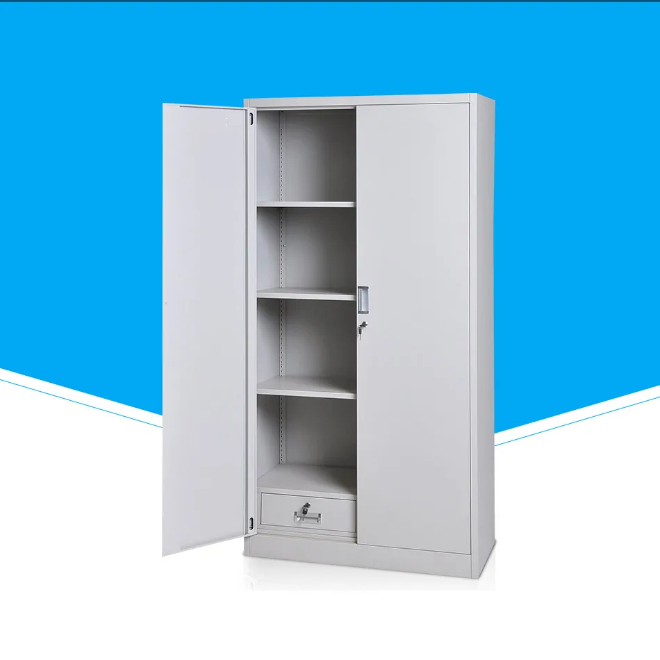 SFD-W19 2 Door Filing Cabinet in Hospital Steel Furniture