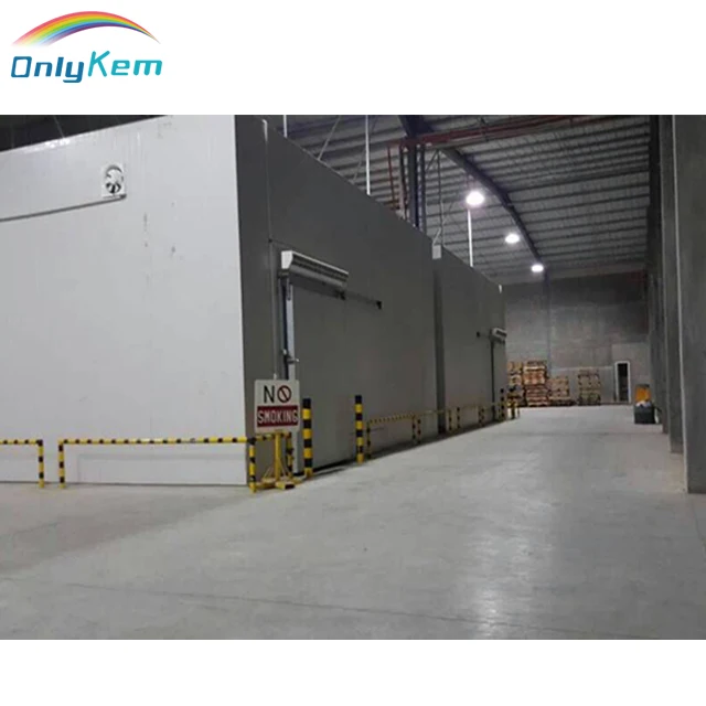 Customized dimension cold freezer room