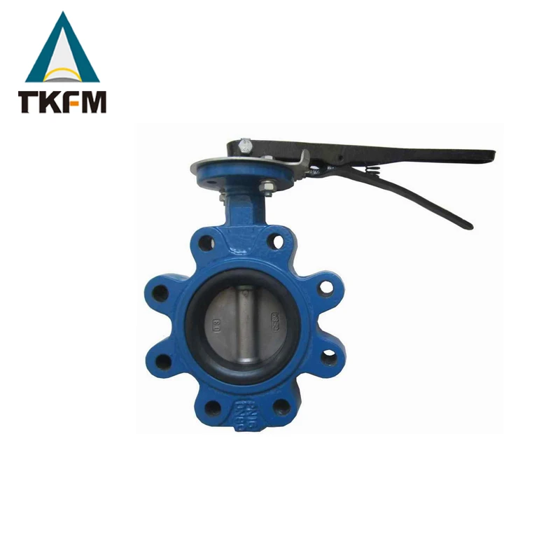 Sale ansi standard lug ptfe seat cf8m disc handle steel butter fly butterfly valve singapore