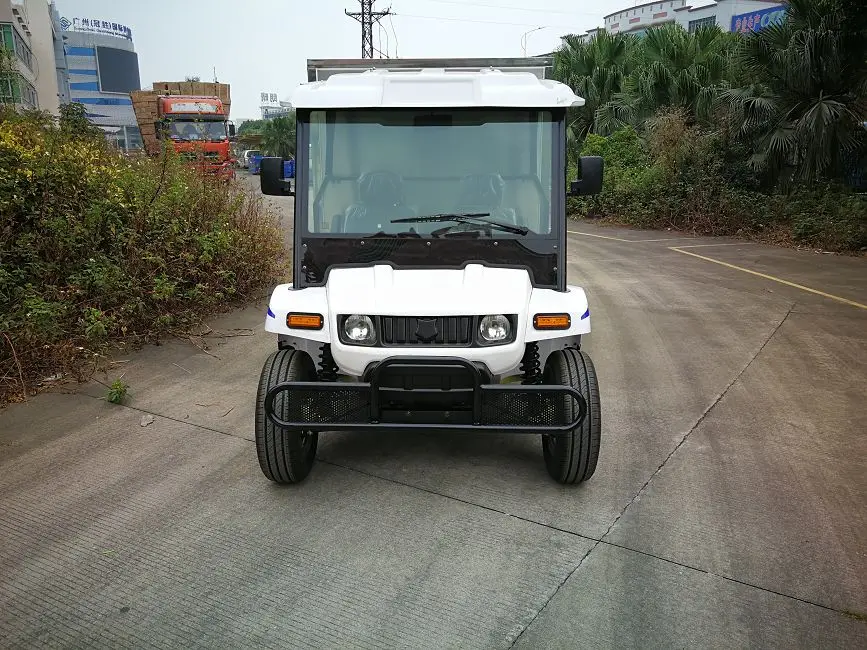 New Style and Economical Electric Truck for