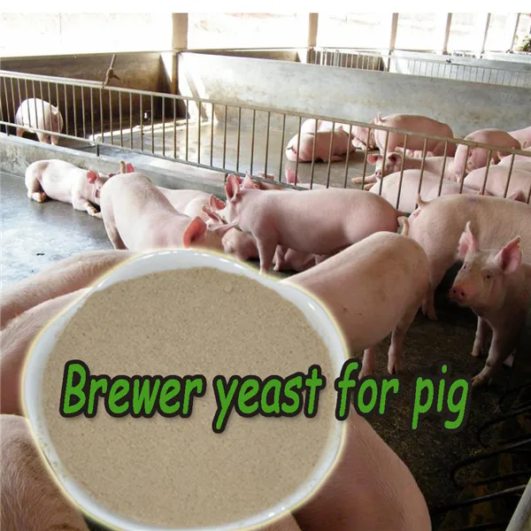 Reasonably priced animal feed Additive Brewer's yeast Supplement