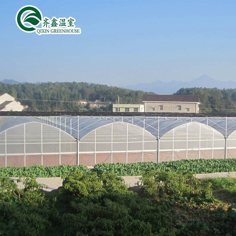 Hydroponics System Aeroponic Tower Garden For Film Greehouse