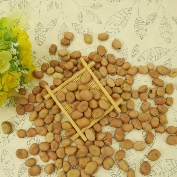Сухая целая широкая фасоль, Органическая фасоль faba