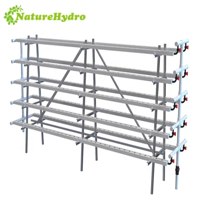 Новый продукт гидропоники Nft растёт канал