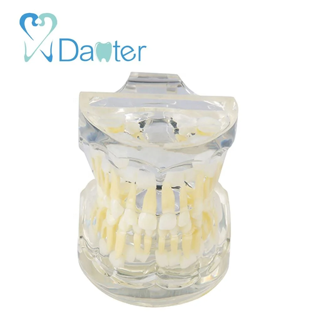 new arrival pediatric model for 3 years old