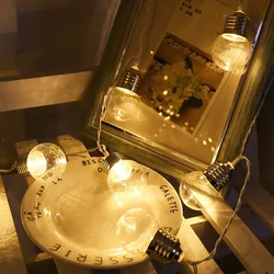 Battery powered Led edison bulbs copper wire string light for festival decoration