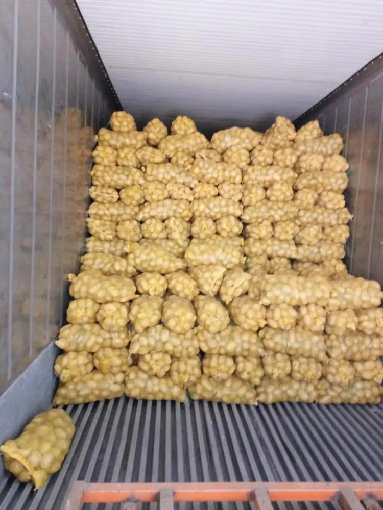 quality Chinese fresh potato vegetables