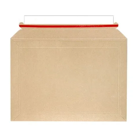 Express Paper Cardboard Envelope for Mail Shipment