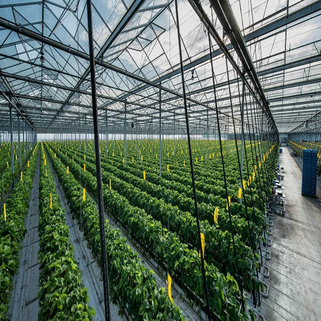 Agricultural durable smart glass greenhouse for sale