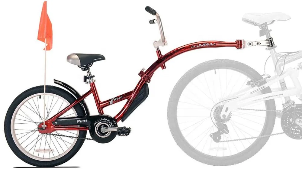 Fashion 20inch Mountain Train /Folding Arm for Easy Storage/Tandem Bicycle (SY-TD2004)