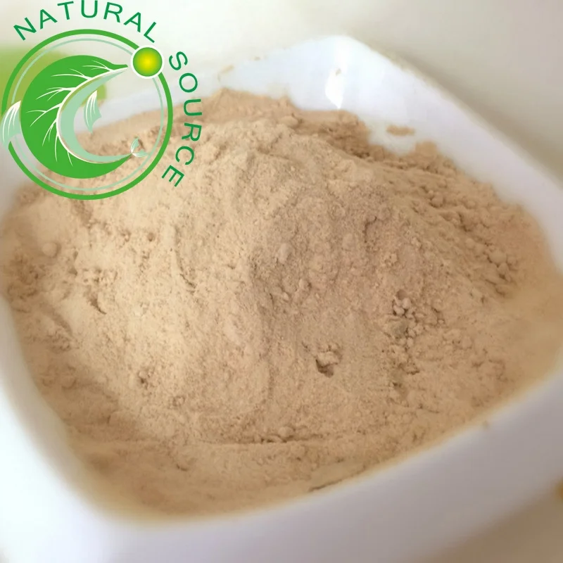 Wholesale GMP Standard High Purity Natural Bulk Dehydrated Onion Powder For Seasoning