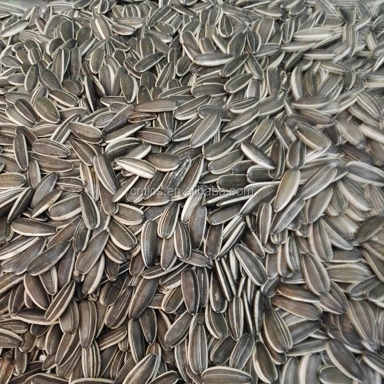 
Good quality Sunflower seeds with best price 