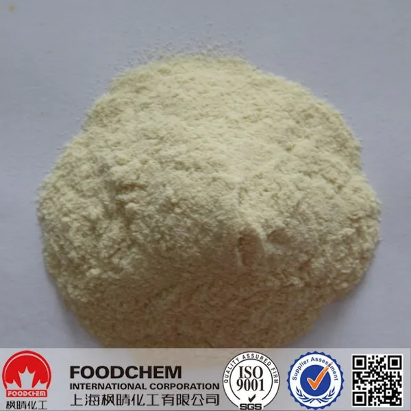 Vital Wheat Gluten Fish Feed