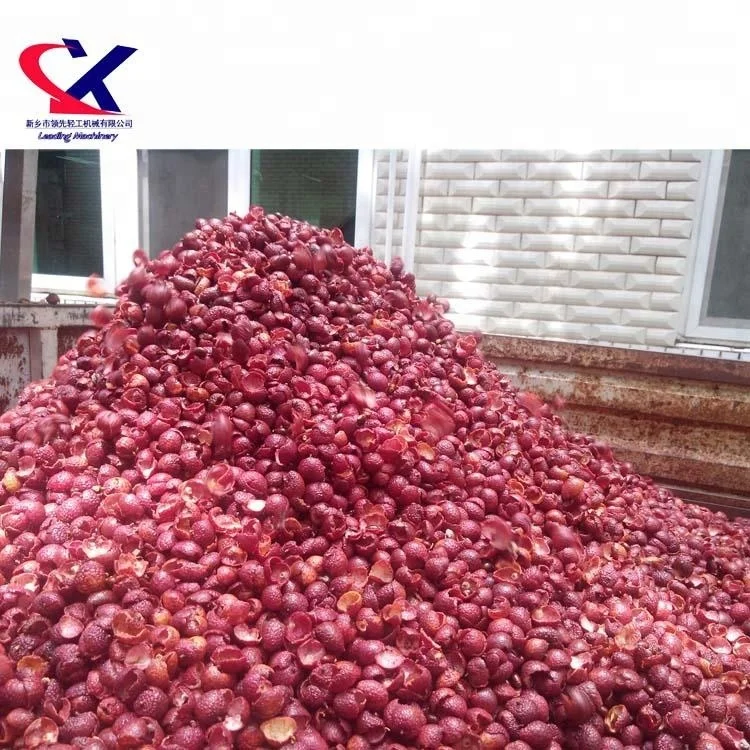 Offer Lychee fruit wine lychee juice 2000kg/h litchi processing plant
