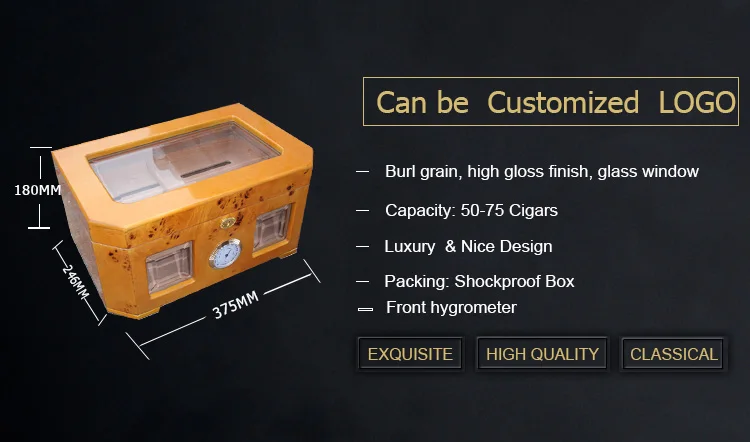 Luxury Plastic Cigar Box with Wooden Humidor Custom Logo Lacquer Technique for Gift Packaging Storage