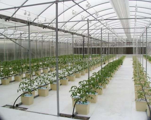 Bato bucket for greenhouse drip irrigation system