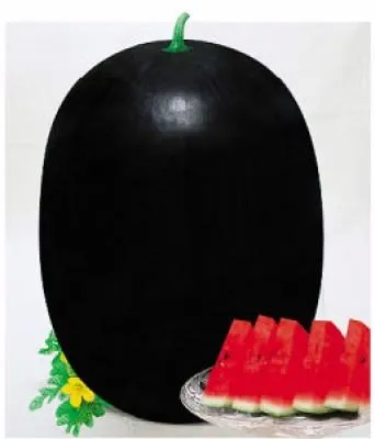 BLACK JING black skin f1 hybrid red watermlon seeds for sale