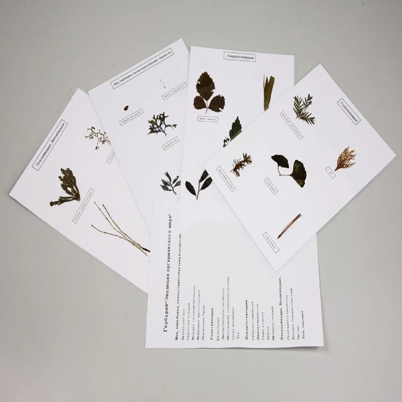 The Evolution of Organic beings Herbarium