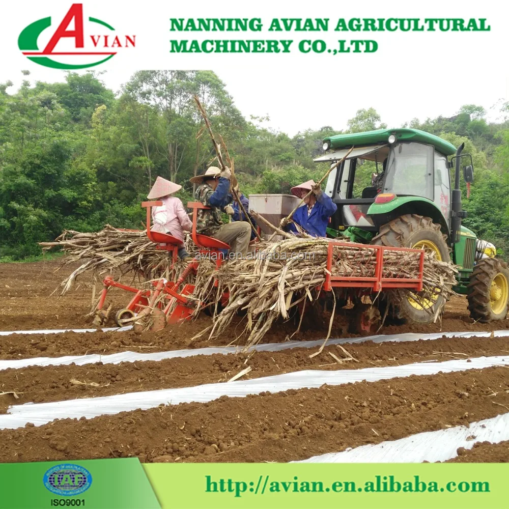 2017 China AVIAN Hot Selling 2 Rows Sugarcane Planter / Sugarcane Seed Planter With Factory Price