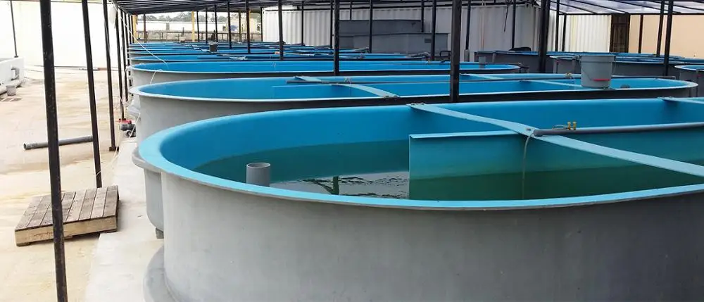 Aquaculture Fiberglass Tanks