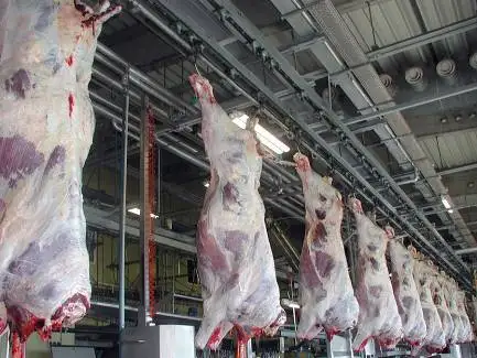 Устройство для удаления шкур крупного рогатого