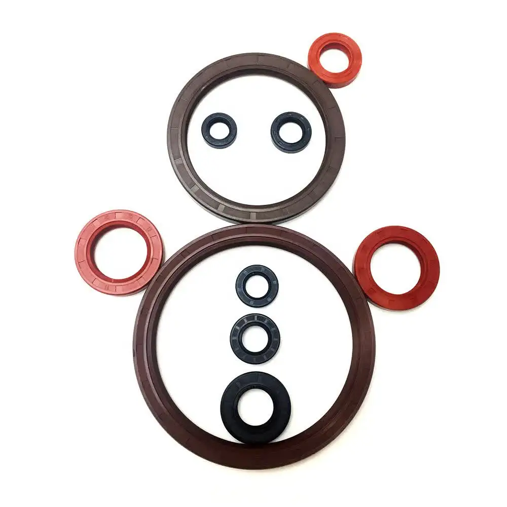Hydraulic Cylinder Seal PTFE Carbon Filled PTFE Rod Piston Oil Spring Energized Seal