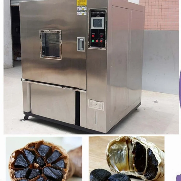 JUYOU 304 stainless steel 40kg  90kg 180kg  Black Garlic Fermenter fermentation processing machine