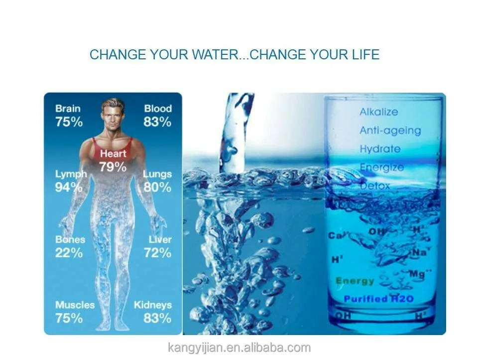 Reduced Ionized mineral-rich Water Dispenser Alkaline Water Ionizer with LCD ORP PH value display