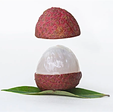 Export food canned lychee for vegetable fruits for indonesia food