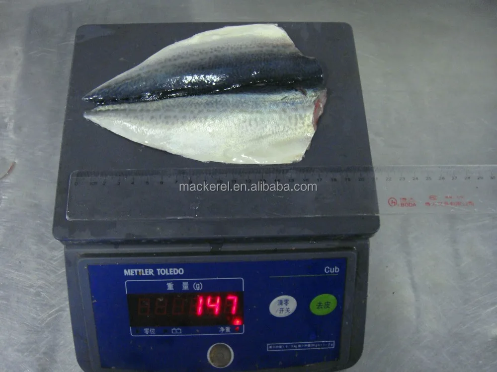 Cheap Price Frozen Mackerel Fish Mackerel Butterfly For EU Market