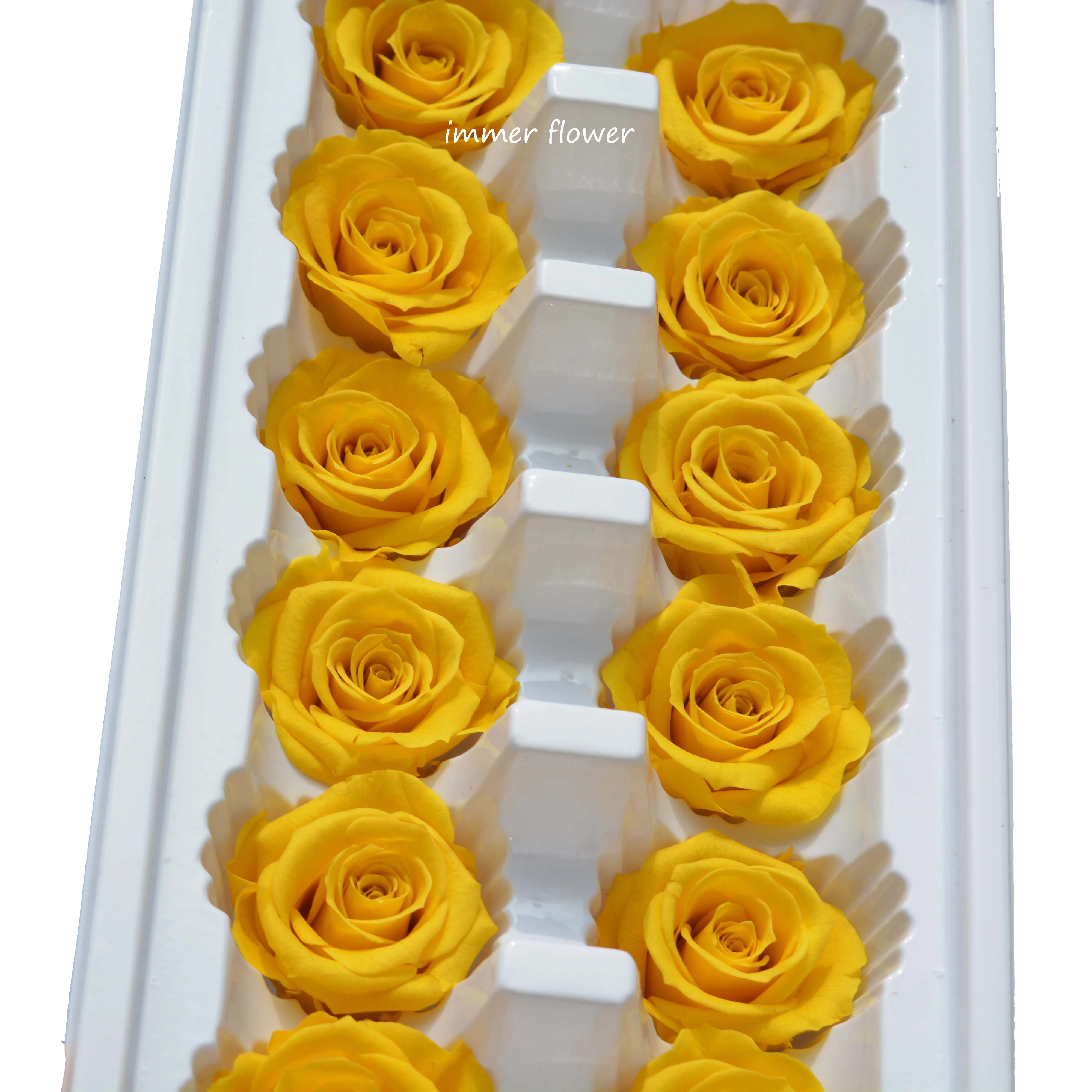 Wholesale Lasting Long Eternal Roses as Rose Petals in Glass