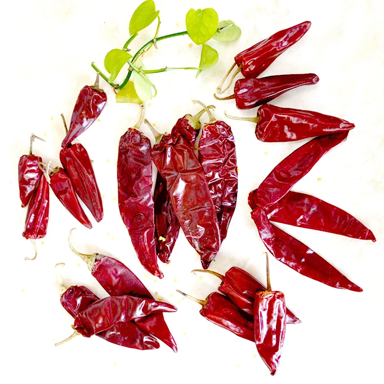  Красный чили yidu без стебля