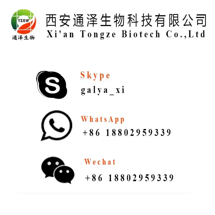 
Natural Magnolia Bark Extract Powder Magnolol powder 98% honokiol powder/buy honokiol price 528-43-8 