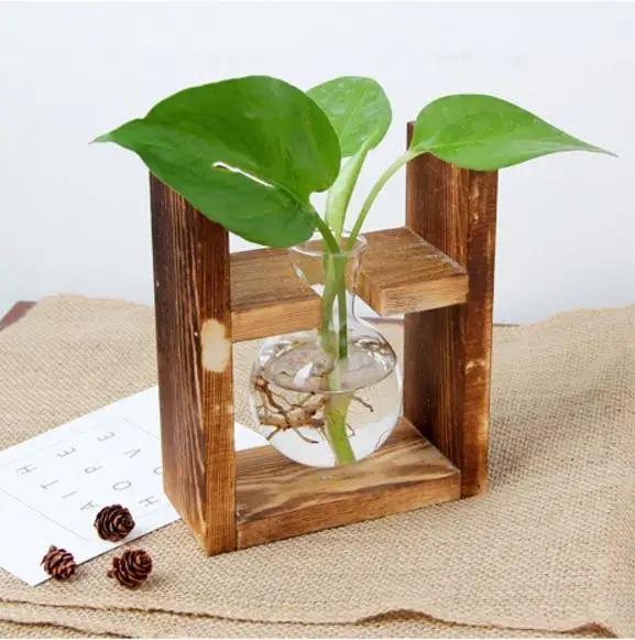 Creative Wooden Hydroponic Container Transparent Glass Vase for Green Plant Desktop Decoration for Home Use on the Floor