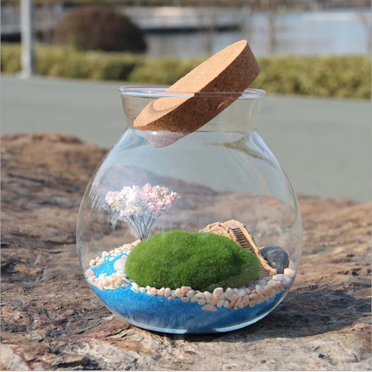 Round Glass Terrarium with Cork, Glass Terrarium Kit for Home Decoration